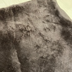 カーペットの画像