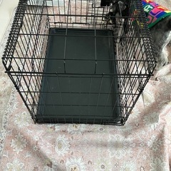 Amazonベーシック 犬 ペットケージ 折り畳み式 トレー付き ダブルドア 76 cm x 48 cm x 53 cm ブラックの画像