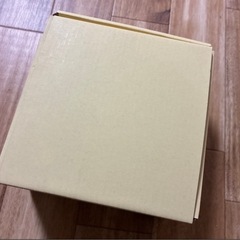 Minute Maidのお皿2枚　新品の画像