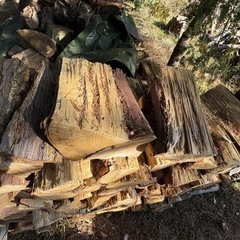 ヒノキ・スギ薪 軽トラ一台分の画像