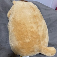 マーモットのぬいぐるみの画像