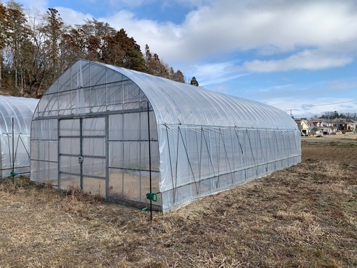 農業用ハウス2棟