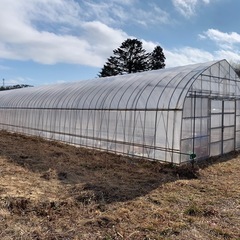 農業用ハウス2棟の画像