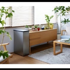 サンカ 冷やすごみ箱 クリーンボックスclean box 冷凍の画像