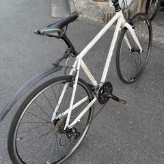 COLNAGO EPOCA 2019年モデル      の画像