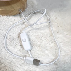 【新品】らんま1/2ルームライトの画像