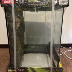 ［受け渡し者決定］ＧＥＸエキゾテラグラステラリウム３０４５の画像