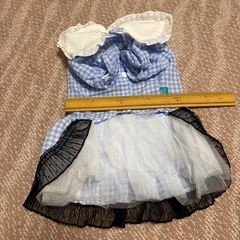🐕の服の画像