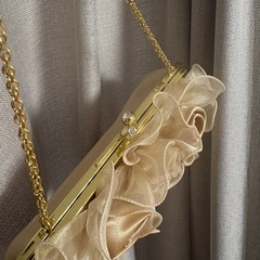 シャンパンゴールドポーチの画像