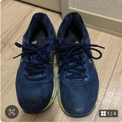 アシックス25センチの画像