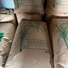 米　つや姫　新米の画像