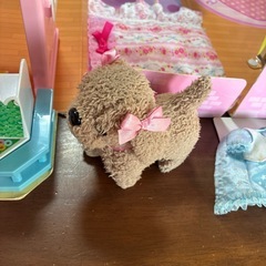 りかちゃんいろいろセット
の画像