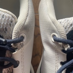 ワークマン アクティブハイク
の画像