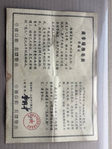 南非緑南 檀笔筒｜中国木彫 龍文様 重量感あり（説明書付）