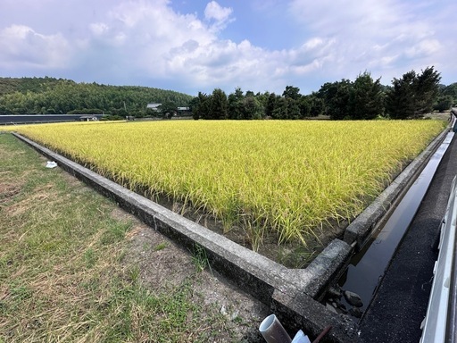 ②令和7年産　玄米　３０Kg  米専用保冷庫保存