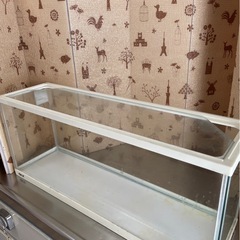 水槽の画像
