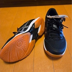 (奄美）アシックス  バレーボールシューズ 23.5の画像