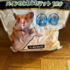 ハムスターセット　ゲージ　の画像