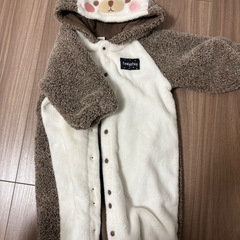 ミニーちゃん、ハリネズミの画像