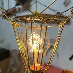 エジソンバルブ　13個セットの画像