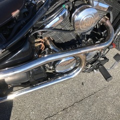 車検取り立ての画像