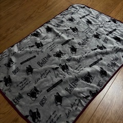 取引中　膝掛け　犬の画像