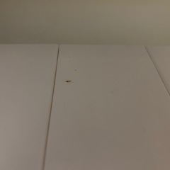 食器収納ラックの画像