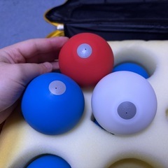 ロトロ　ボッチャ　ユニボッチャ　rotoloの画像