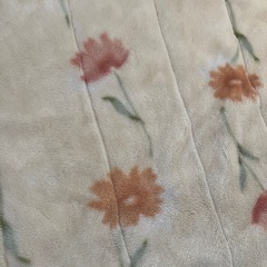 お話し中　　京都西川　　　敷きパッド　2つの画像