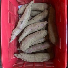 さつまいも　５キロ　紅はるか　の画像
