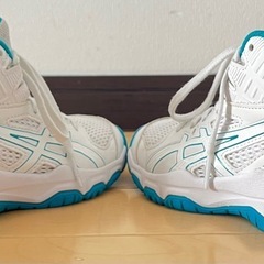 バッシュ　DUNKSHOT　19cmの画像