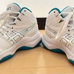 バッシュ　DUNKSHOT　19cmの画像