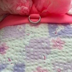 うさぎ用浴衣 うさんぽ   リード の画像