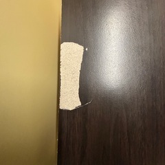 【2/15まで】本棚の画像