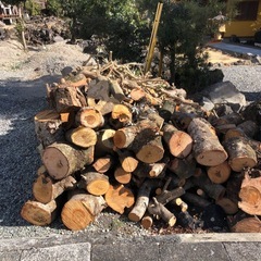 薪、取りにこられる方無料で差し上げます、出来ればまとめて持って行って欲しいですの画像