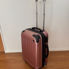 GRIFFIN RANDキャリーケース（スーツケース）の画像