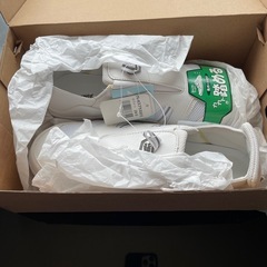 新品安全靴2の画像