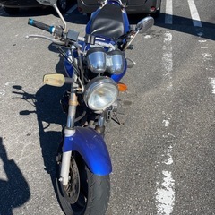 バイクHornetホーネット250(ホンダHONDA)の画像