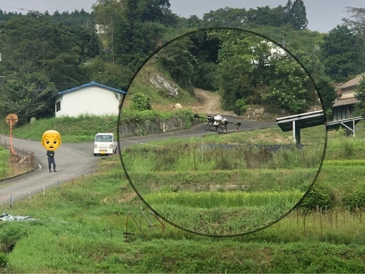 お米（コシヒカリ：令和７年産）