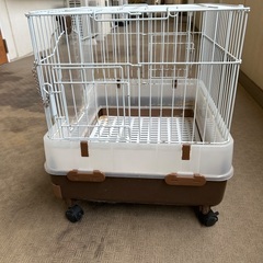 ウサギのゲージの画像