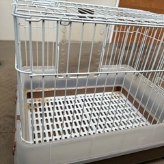 ウサギのゲージの画像