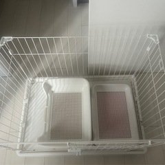 ペット　犬　ケージ　トイレ　洋服の画像