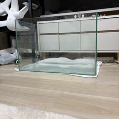 60センチ水槽　直接引取の画像