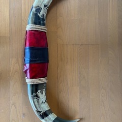 水牛の角の画像