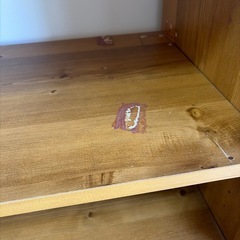 【2/11まで】
棚の画像