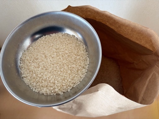 コシヒカリ白米 10kg