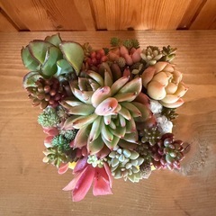 多肉の寄植え
の画像