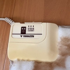 YAMAYENヒートクッションの画像