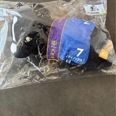 1番くじ　A賞　イクイノックスの画像