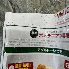 ポメラニアン専用の画像